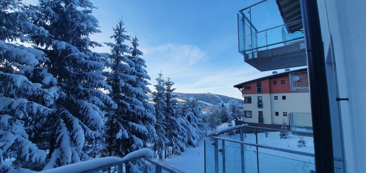 Apartman Nerudovka D 104, Finska Sauna, Garazove Stani Loucna pod Klinovcem Ngoại thất bức ảnh